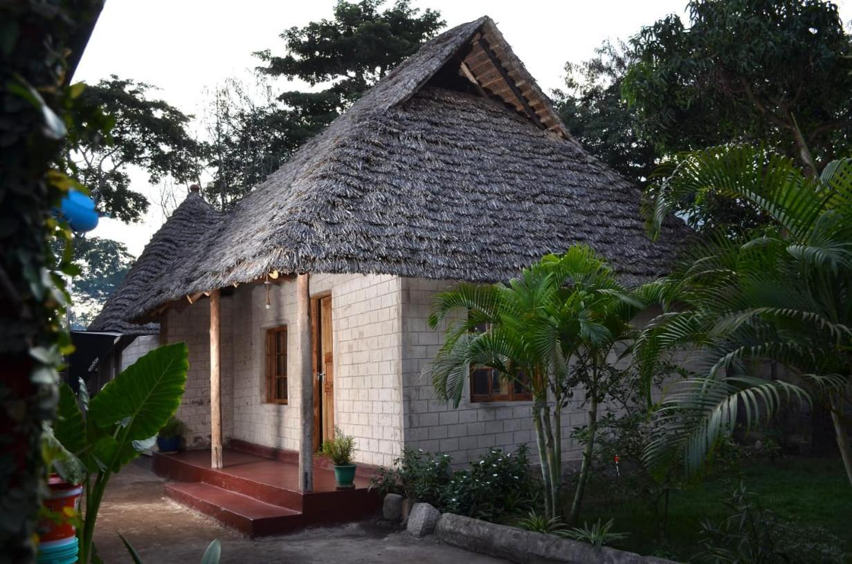 Charming Eco-Homestay Near Kilimanjaro International Airport Arusha Exterior foto