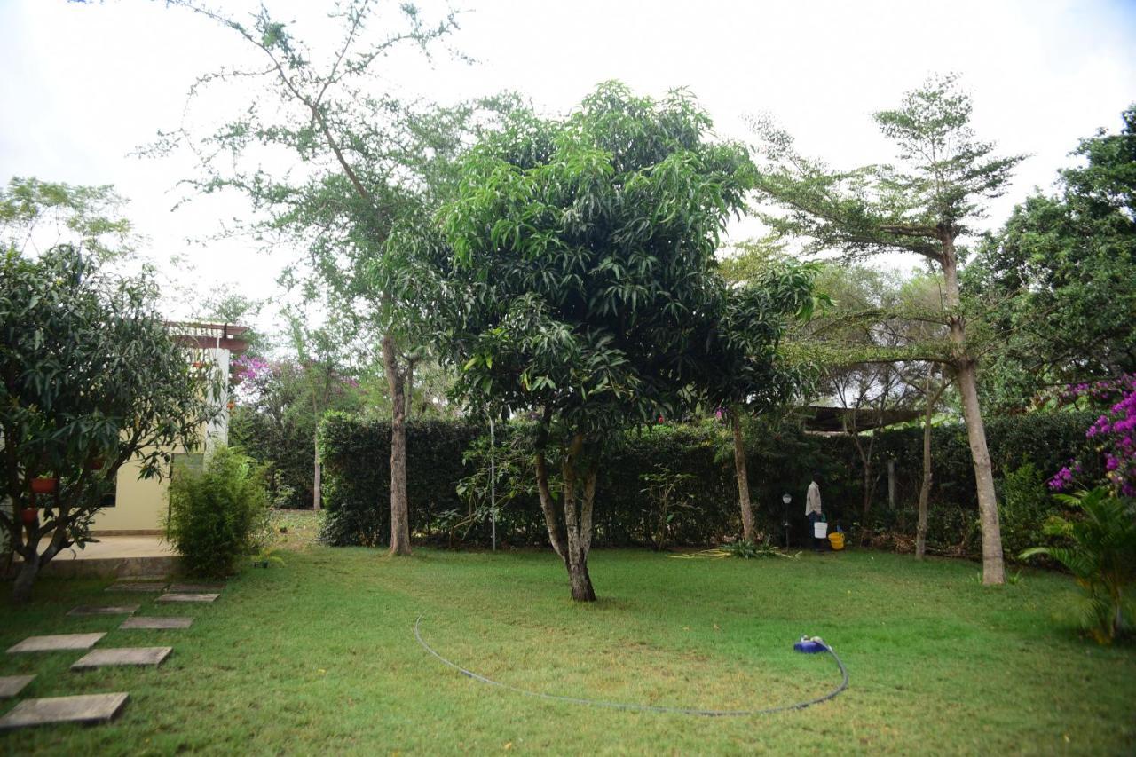 Charming Eco-Homestay Near Kilimanjaro International Airport Arusha Exterior foto